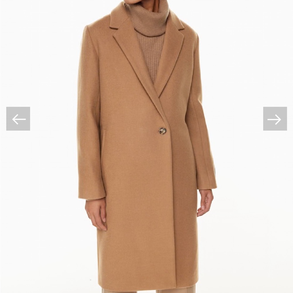ARITZIA The Stedman Coat